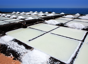 Salzgewinnung in Tavira – Eine Tradition seit Jahrhunderten
